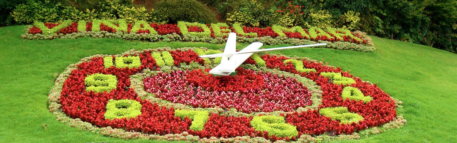 Soporte t�cnico real